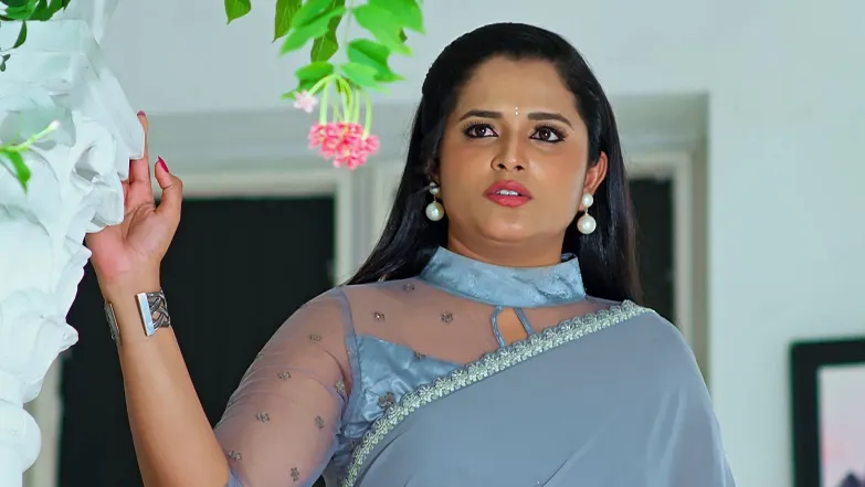 Nindu Noorella Saavasam - June 25, 2025 - Episode Spoiler
