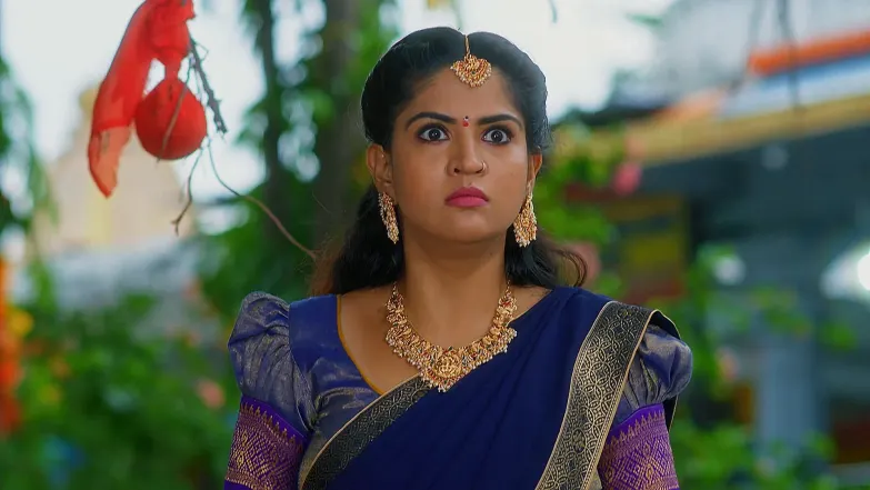 Lakshmi Nivasam - June 28, 2025 - Episode Spoiler