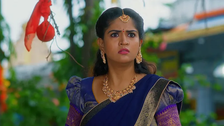 Lakshmi Nivasam - June 28, 2025 - Episode Spoiler