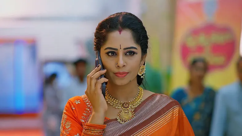 Meghasandesam - June 24, 2025 - Episode Spoiler