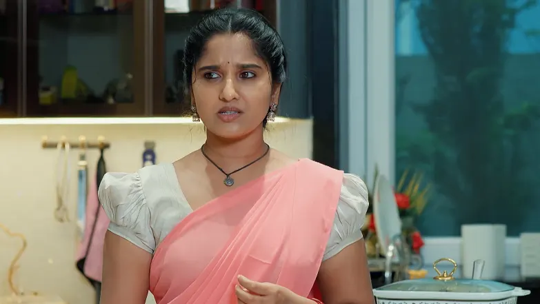 Chamanthi - June 27, 2025 - Episode Spoiler