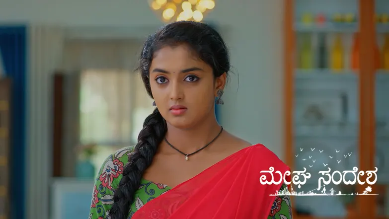 Meghasandesha - June 29, 2025 Episode 295