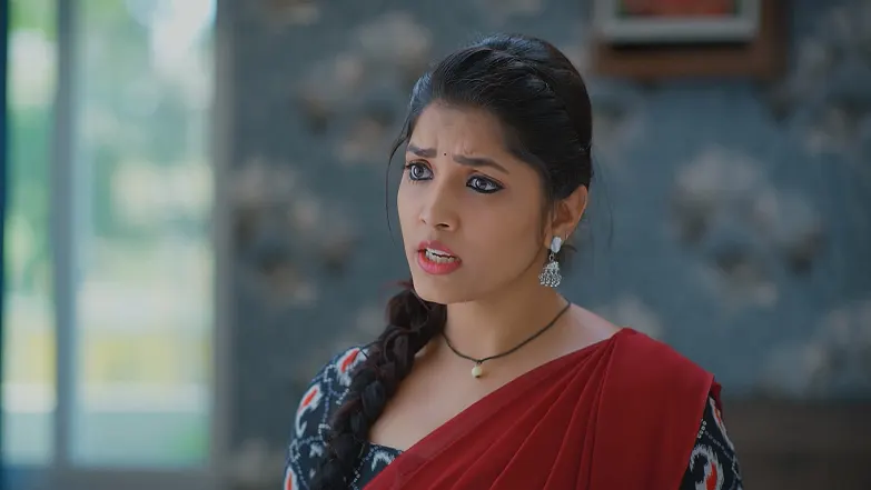 Meghasandesha - June 28, 2025 - Episode Spoiler