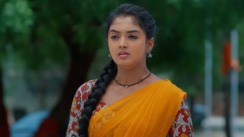 Meghasandesha - June 26, 2025 - Episode Spoiler