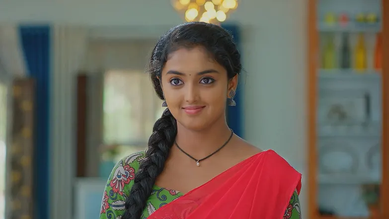Meghasandesha - June 29, 2025 - Episode Spoiler