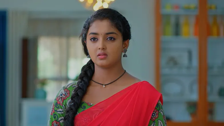 Meghasandesha - June 30, 2025 - Episode Spoiler