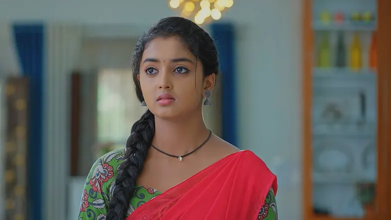 Meghasandesha - June 30, 2025 - Episode Spoiler