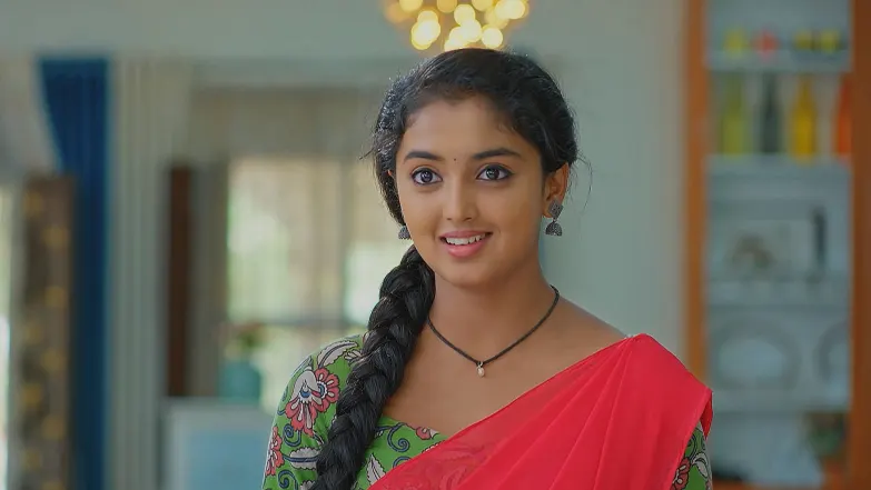 Meghasandesha - June 29, 2025 - Episode Spoiler
