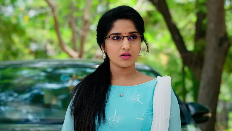 Hamsa Learns about Seetharatna’s Release Episode 81