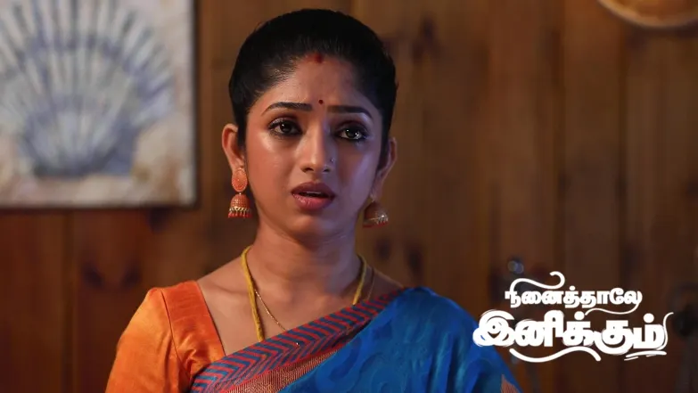 Mahalingam's Plan to Halt the Wedding Episode 1316