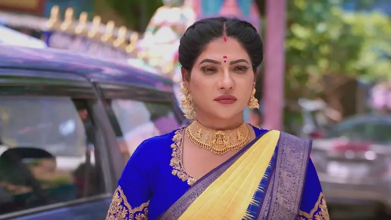 Karthigai Deepam - June 25, 2025 - Best Scene 