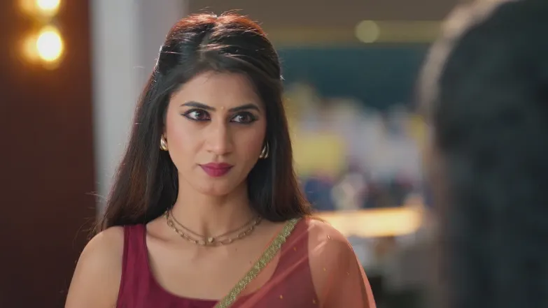 Vasudha - June 24, 2025 - Episode Spoiler