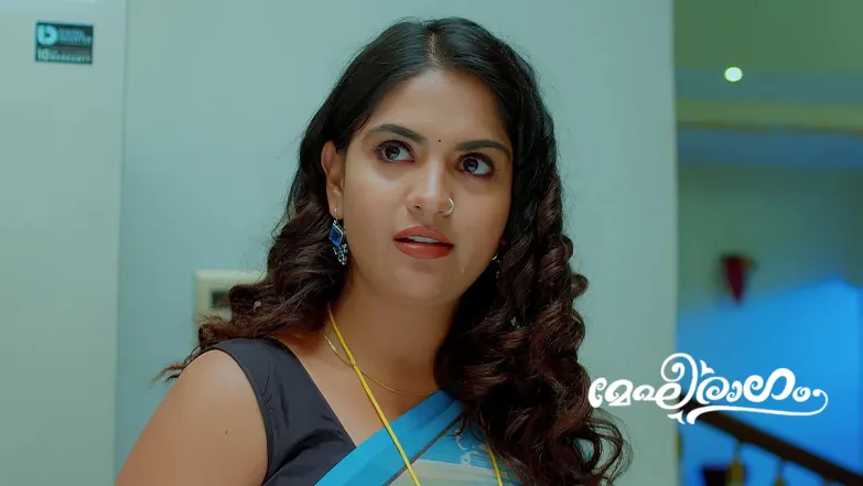 Manjari's Plan to Accuse Meghana Fails Episode 696