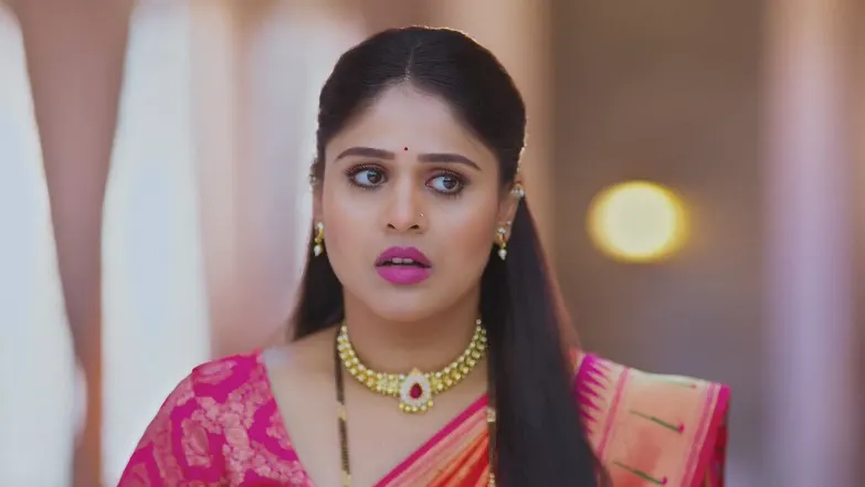Lakshmi Niwas - July 04, 2025 - Best Scene 