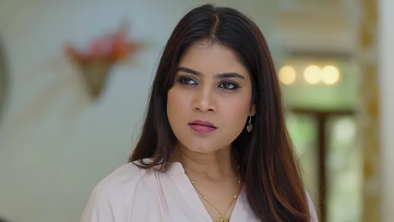 Nitya Tampers with Bala and Tripura’s Lunch Episode 137