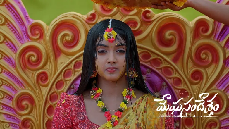 Bhoomi and Gagan’s Haldi Ceremony Episode 352