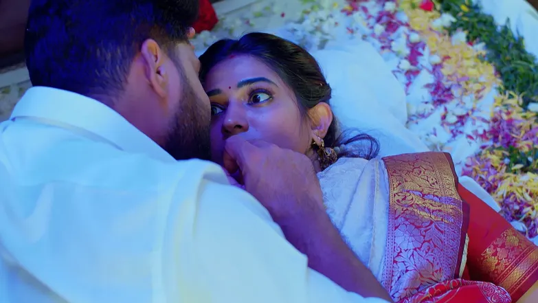 Nindu Noorella Saavasam - July 03, 2025 - Episode Spoiler