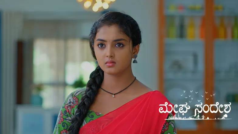 Meghasandesha - June 30, 2025 Episode 296