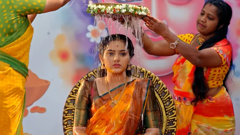 Viswanath Worries about Sharanya’s Misfortune Episode 88
