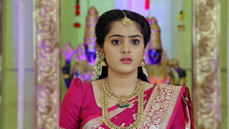Darshan and Sharanya's Wedding Rituals Begin Episode 93