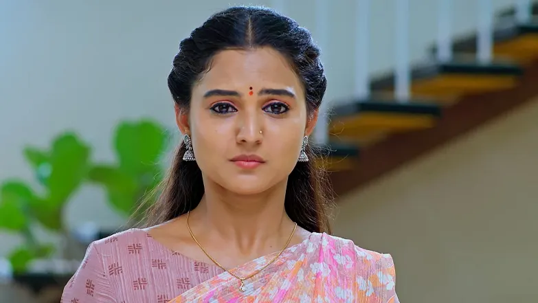 Ananth and Urvashi's Haldi Ceremony Begins Episode 62