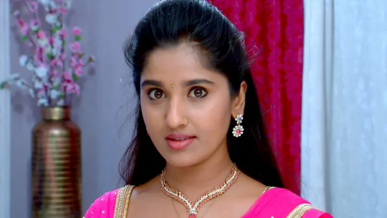 Kanaka Durga Invites Shrinidhi to Her House Episode 12
