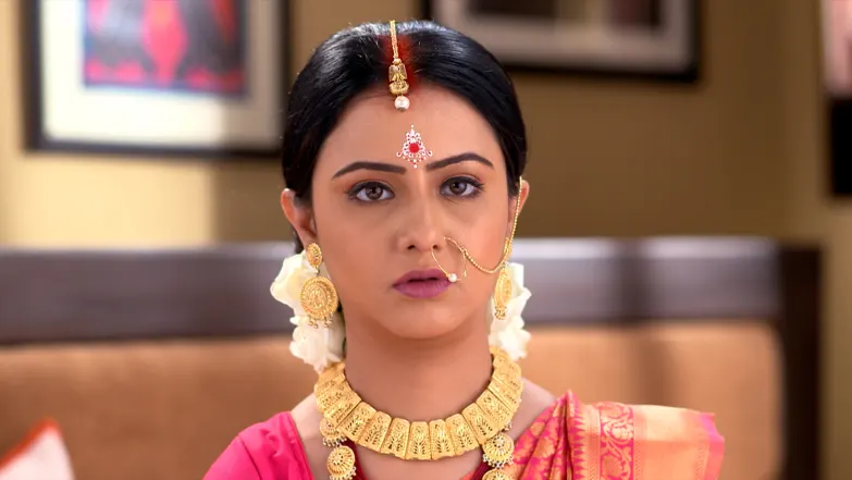 Parag and Simun's Wedding Reception Begins Episode 19