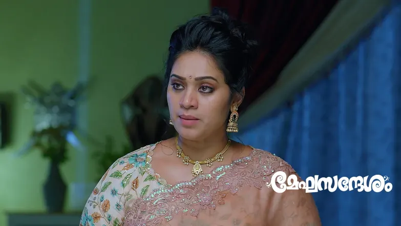 Meghasandhesham - July 08, 2025 Episode 2