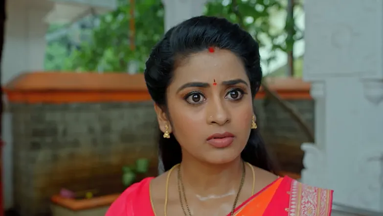 Dheerga Sumangali Bhava - July 14, 2025 Episode 85