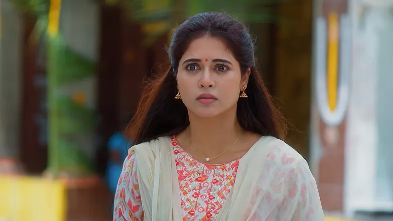 Dorababu Clicks Siddhu and Tulasi’s Photos Episode 117