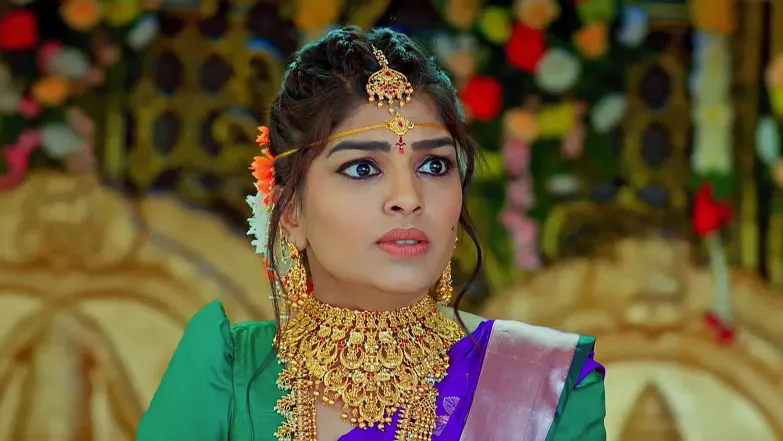 Krishna's Family Rectifies Their Mistake Episode 66