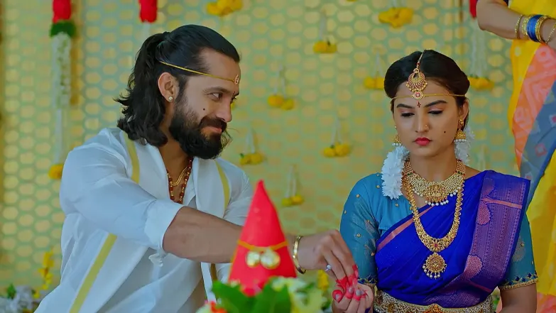 Hrudaya Geethe - July 21, 2025 - Episode Spoiler