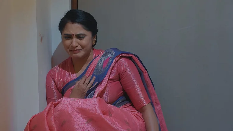 Meghasandesha - July 18, 2025 - Episode Spoiler
