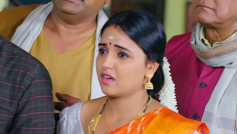 Geetha Govinda - July 21, 2025 - Episode Spoiler