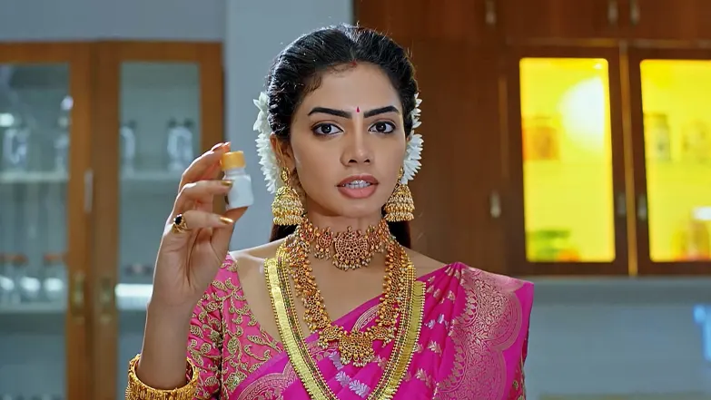 The Satyanarayana Puja Begins! Episode 100