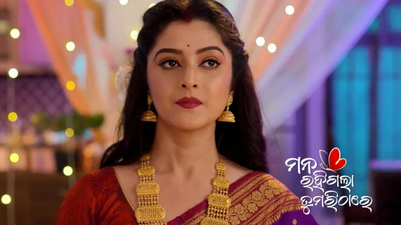 Pradeep and Priya's Wedding Ceremony Begins Episode 287