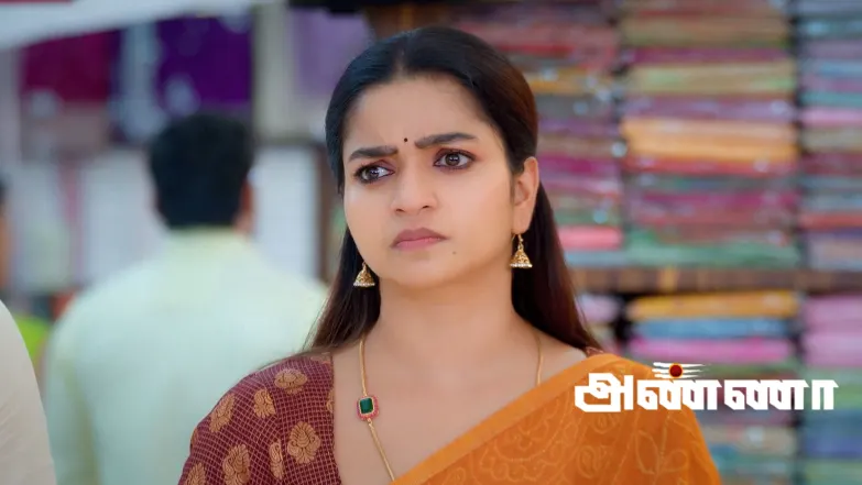 Bhagyam's Request Irks Sivabalan Episode 731
