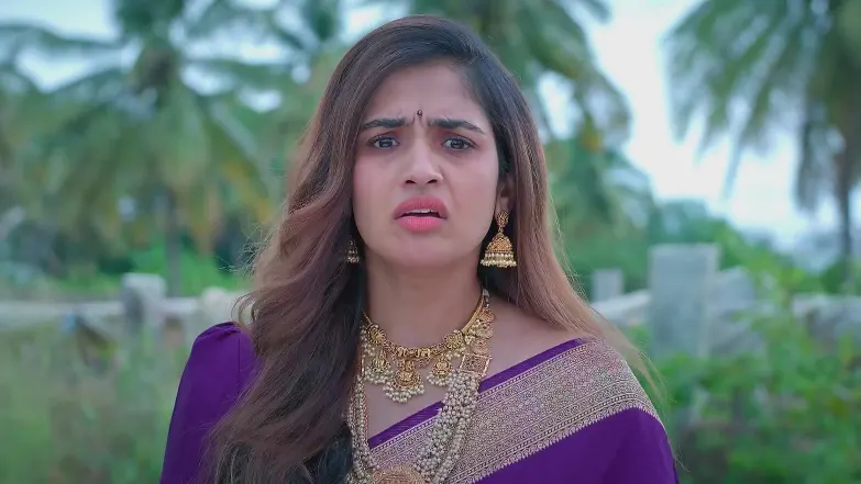 Ayali - July 15, 2025 - Best Scene 
