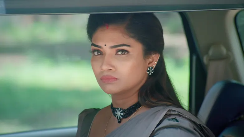 Karthigai Deepam - July 17, 2025 - Episode Spoiler