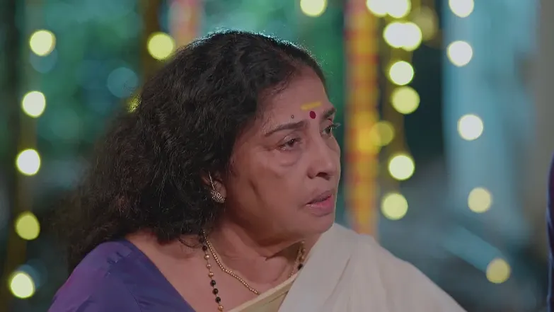 KrishnaGadha - July 20, 2025 - Best Scene 