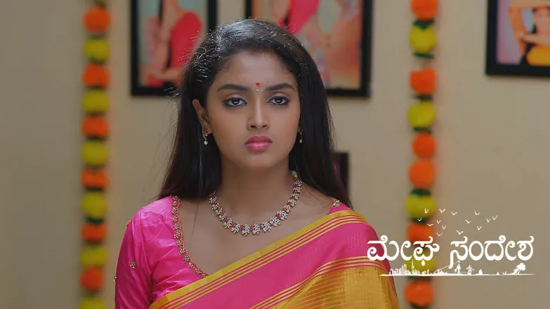 Meghasandesha - July 20, 2025 Episode 319