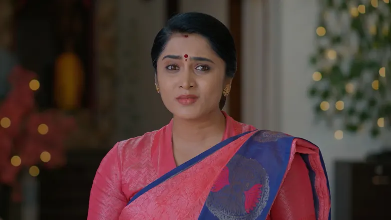 Meghasandesha - July 26, 2025 - Episode Spoiler