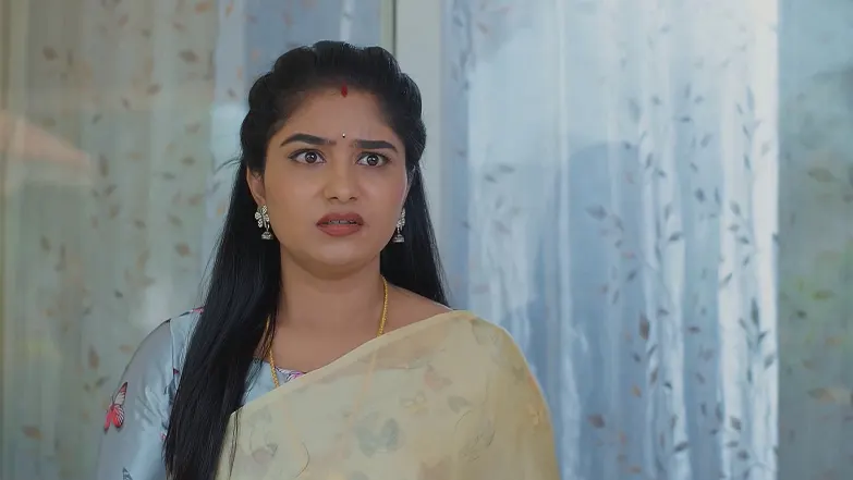 Meghasandesha - July 24, 2025 - Episode Spoiler
