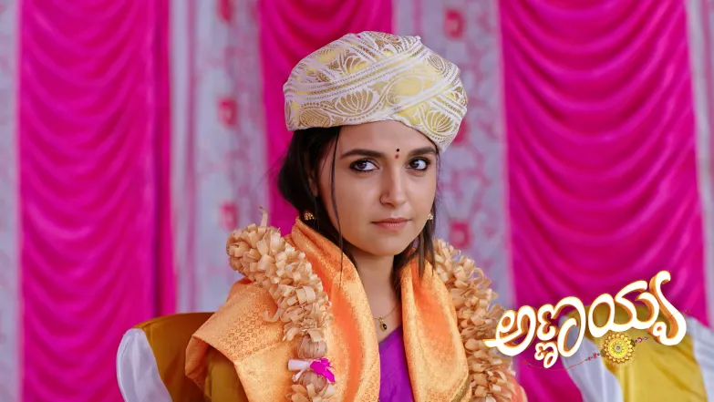 Annayya - July 21, 2025 Episode 248