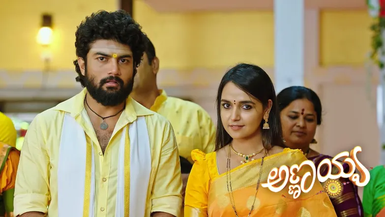 Annayya - July 25, 2025 Episode 252