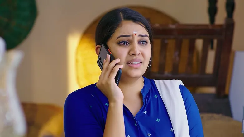 Geetha Govinda - July 24, 2025 Episode 217