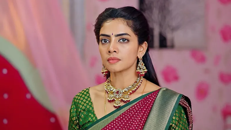 Ananya Frightens Sharanya over a Call Episode 107