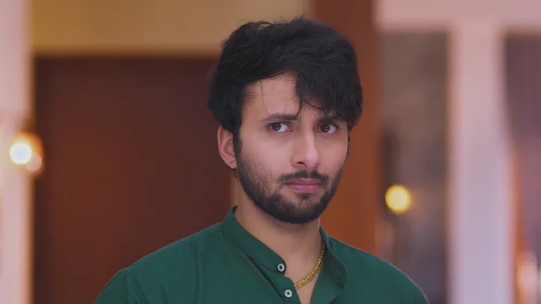 Lakshmi Niwas - July 22, 2025 - Best Scene 