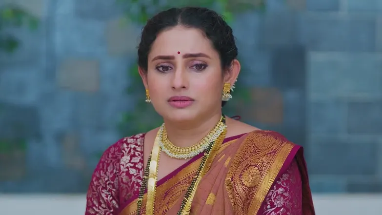 Lakshmi Niwas - July 24, 2025 - Best Scene 
