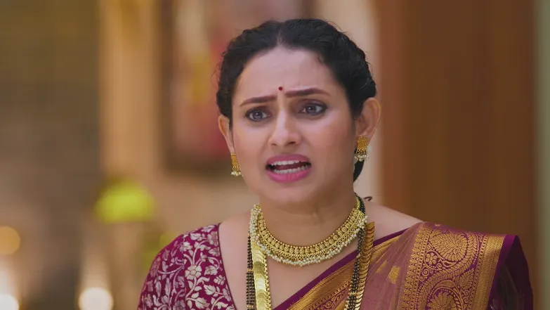 Lakshmi Niwas - July 24, 2025 - Episode Spoiler